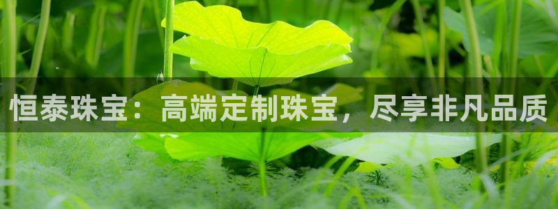 众腾娱乐博彩