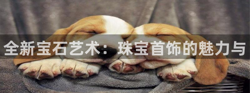 众腾娱乐邵阳