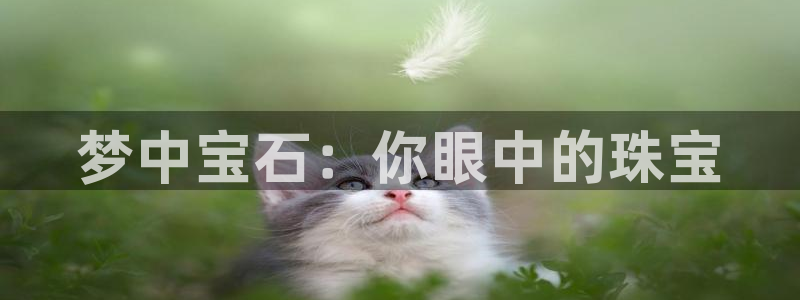 楚雄众腾娱乐是干什么的