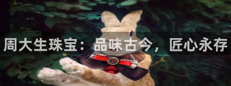 云南众腾娱乐