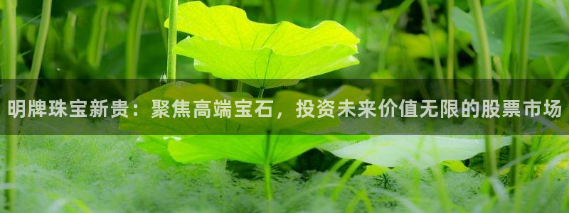 众腾娱乐招商