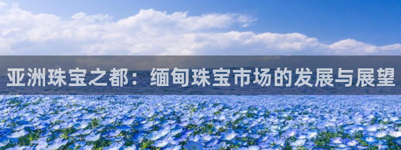 众腾娱乐注册