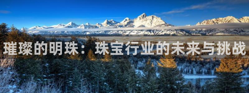 众腾娱乐文化怎么样：璀璨的明珠：珠宝行业的未来与挑战