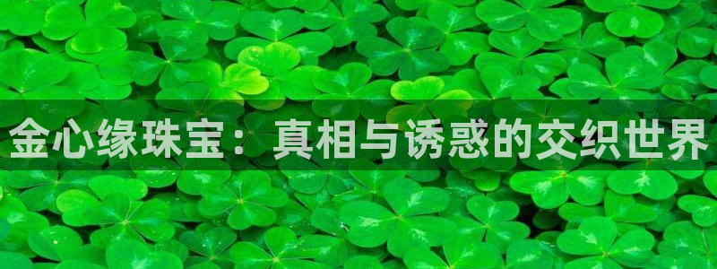 众腾娱乐登入探索无限空间：金心缘珠宝：真相与诱惑的交织世界