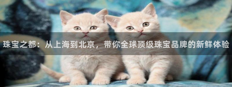 腾众娱乐是什么