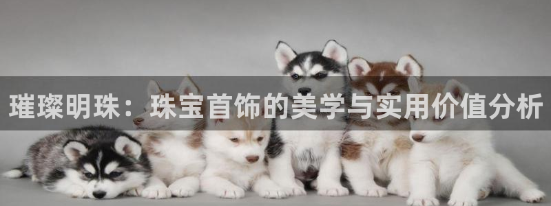 众腾娱乐官方客服电话