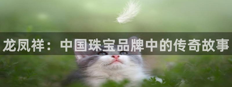 众腾娱乐总代理：龙凤祥：中国珠宝品牌中的传奇故事