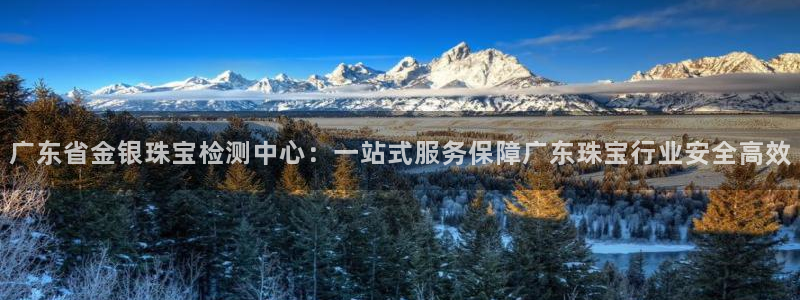 腾众竞技娱乐：广东省金银珠宝检测中心：一站式服务保障广东珠宝