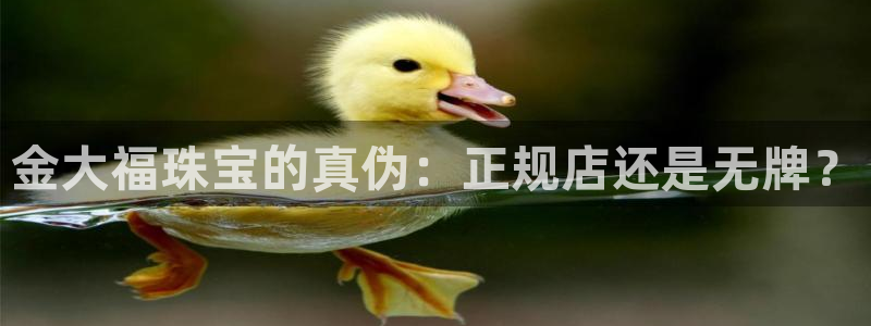 众腾娱乐登入探索无限空间：金大福珠宝的真伪：正规店还是无牌？