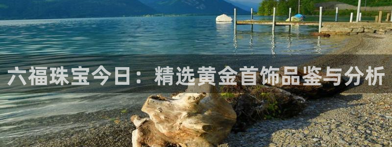 众腾娱乐app