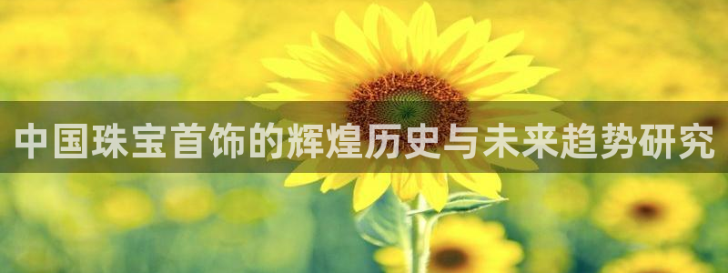 众腾娱乐登录：中国珠宝首饰的辉煌历史与未来趋势研究