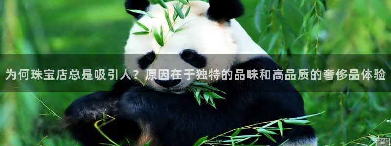 众腾娱乐扣款是正规的吗：为何珠宝店总是吸引人？原因在于独特的