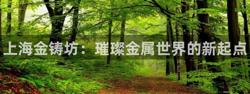 众东腾娱乐客服：上海金铸坊：璀璨金属世界的新起点