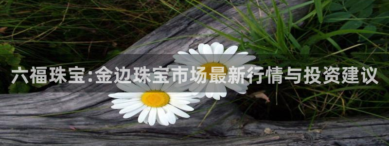众腾娱乐毕 7O935：六福珠宝:金边珠宝市场最新行情与投资