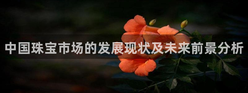 楚雄众腾娱乐是干什么的：中国珠宝市场的发展现状及未来前景分析