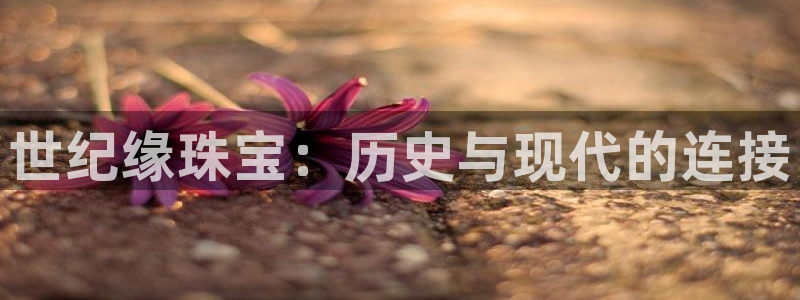 众腾娱乐公司简介：世纪缘珠宝：历史与现代的连接