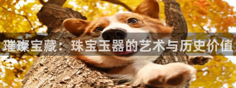 众腾娱乐：璀璨宝藏：珠宝玉器的艺术与历史价值