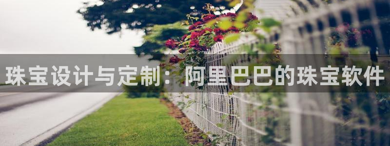 众腾娱乐蚀 7O935：珠宝设计与定制：阿里巴巴的珠宝软件
