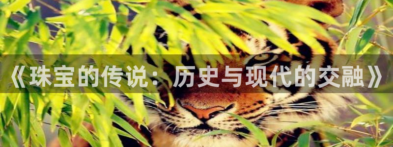 彝族自治州众腾娱乐：《珠宝的传说：历史与现代的交融》