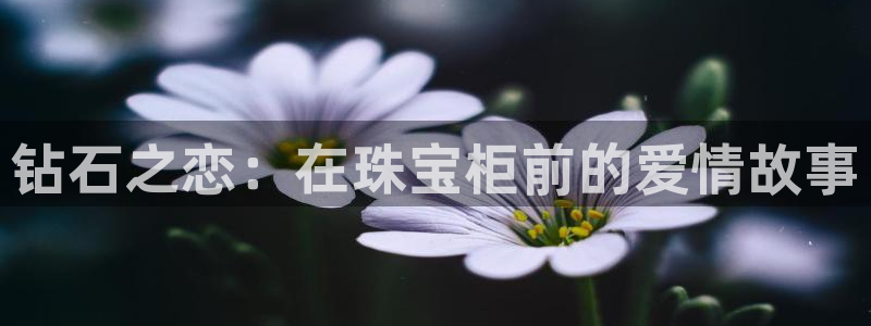 楚雄众腾娱乐在哪里：钻石之恋：在珠宝柜前的爱情故事
