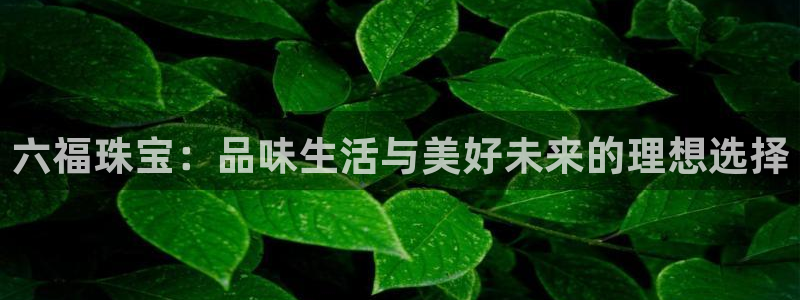 众腾娱乐客服：六福珠宝：品味生活与美好未来的理想选择