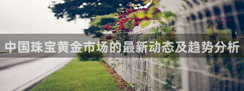 众腾娱乐得7O777：中国珠宝黄金市场的最新动态及趋势分析