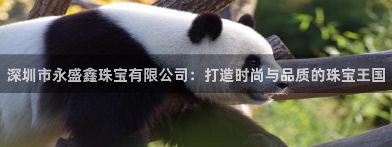 楚雄众腾娱乐：深圳市永盛鑫珠宝有限公司：打造时尚与品质的珠宝
