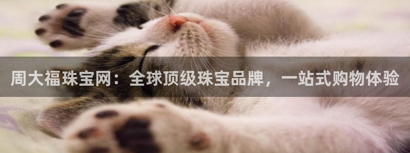 腾耀3娱乐众推8 28：周大福珠宝网：全球顶级珠宝品牌，一站