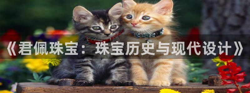 腾众娱乐是什么