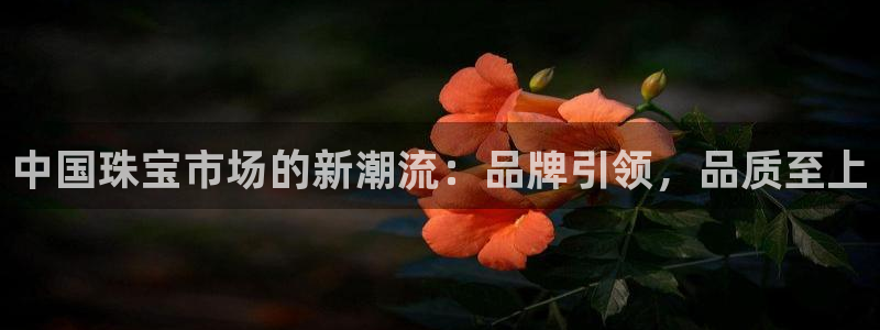 众腾娱乐开户：中国珠宝市场的新潮流：品牌引领，品质至上