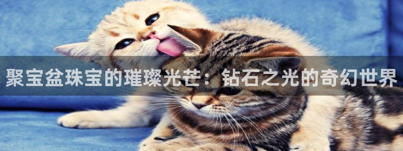 包头众腾娱乐