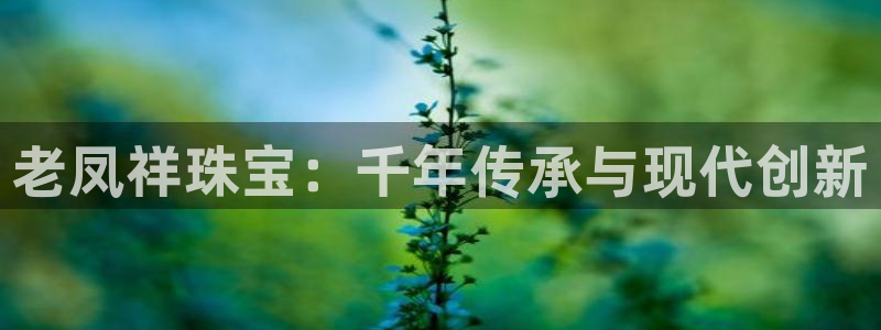 众腾娱乐招商