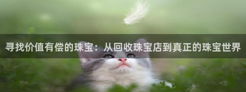 楚雄众腾娱乐在哪里：寻找价值有偿的珠宝：从回收珠宝店到真正的