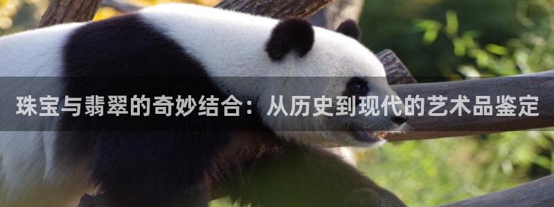 众腾娱乐平台官网入口：珠宝与翡翠的奇妙结合：从历史到现代的艺