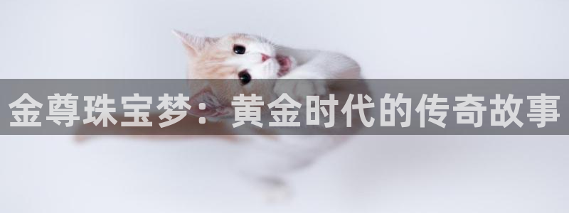 众腾娱乐公司简介