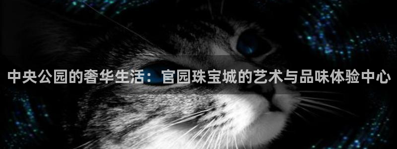 众腾娱乐APP下载