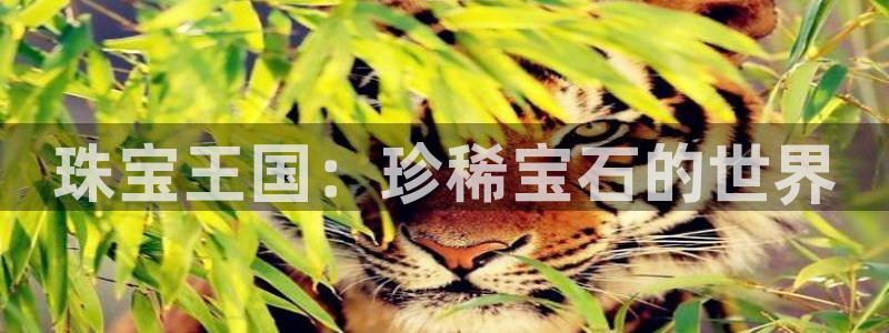 腾众竞技娱乐：珠宝王国：珍稀宝石的世界