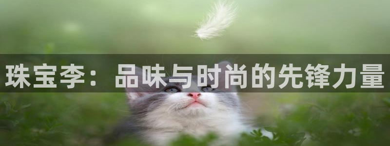 众腾娱乐总代理