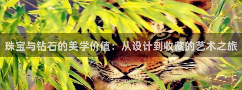 众腾娱乐蚀 7O935：珠宝与钻石的美学价值：从设计到收藏的