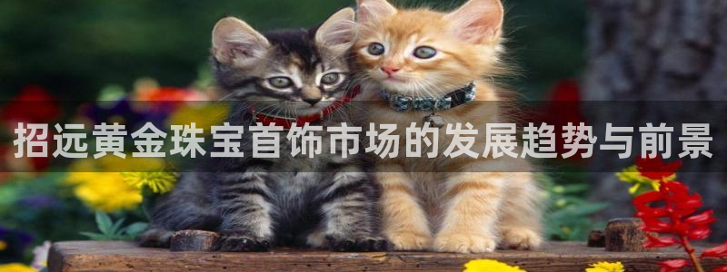 众腾娱乐登录：招远黄金珠宝首饰市场的发展趋势与前景