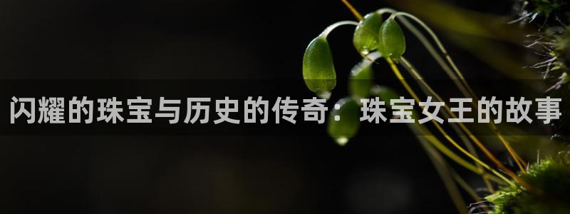 腾众娱乐：闪耀的珠宝与历史的传奇：珠宝女王的故事